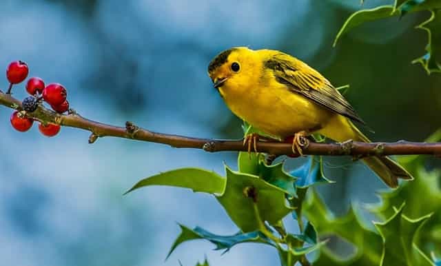 发那科FANUC主轴编码器A20B-2002-0310