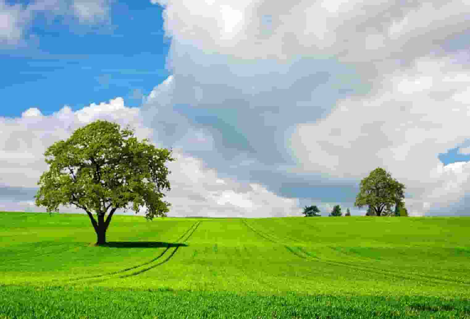 情感每日一封信：如何俘获已婚女士心