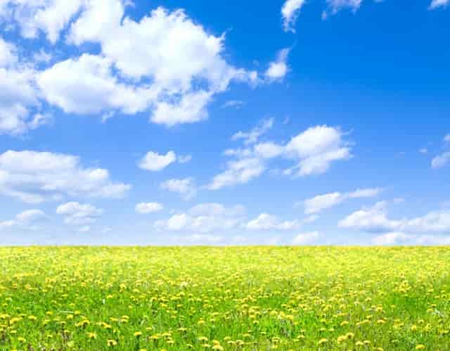 袖虎宠物捅出常见套路