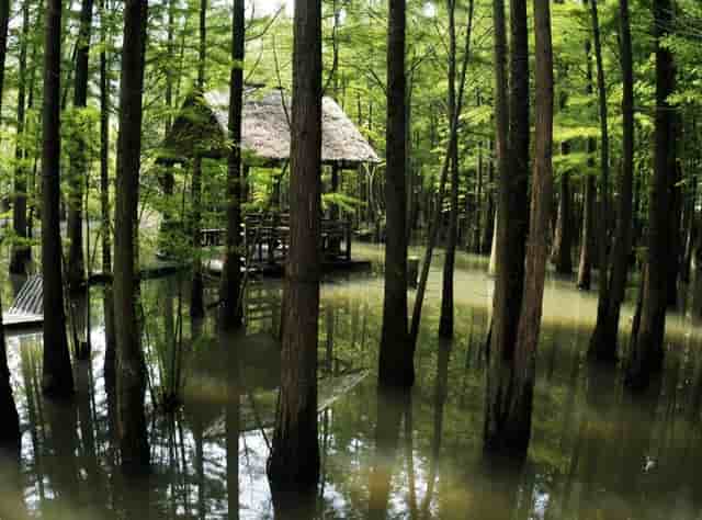 传《魔兽世界》电影将重启 忽略2016版完全重拍