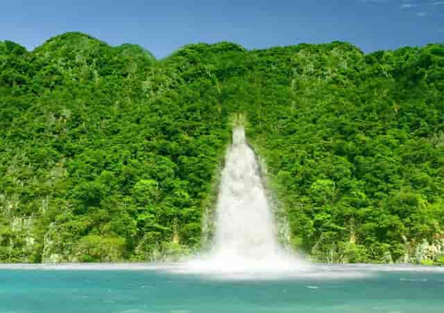 蔡嘉珍獲得註冊理財規劃師專業稱銜，秉持職業操守與執業準則，開啟財務規劃新征程