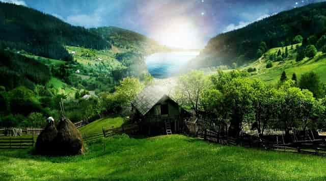 考完大学是不是填志愿