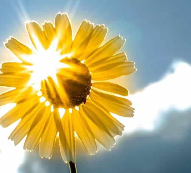 如何捡漏低分大学