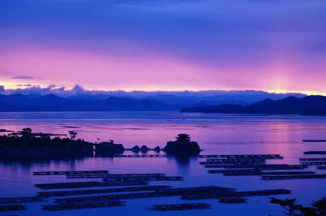 大学助学金经历