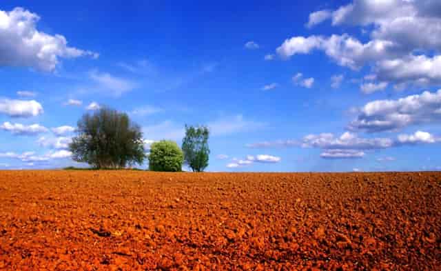 好玩的社交软件有哪些——偶屋