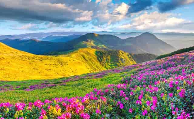 职场五年血泪经验贴，教你如何提升求职技能