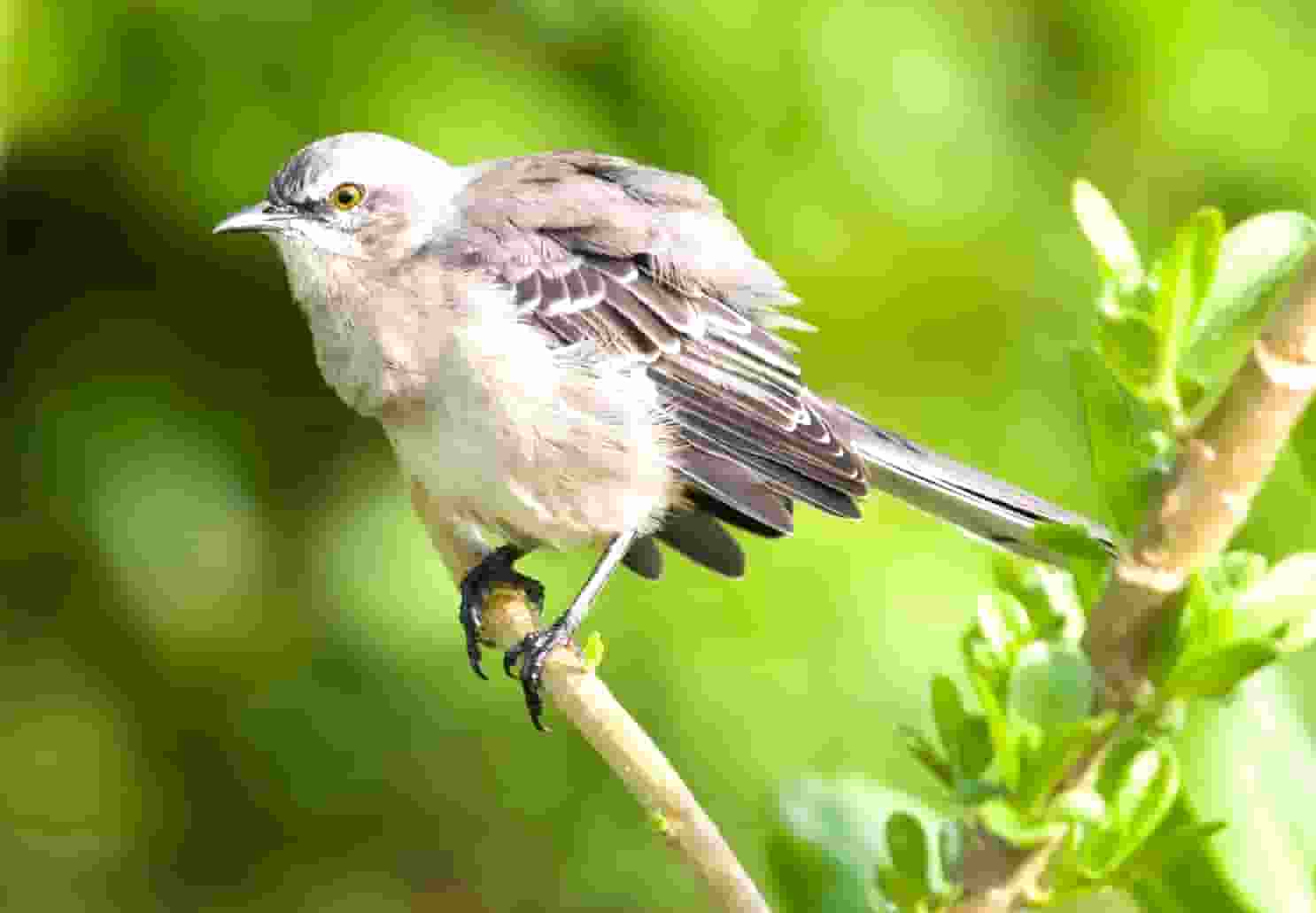 九小场所安全检查宣传
