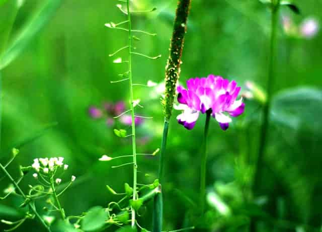 qq书城登录入口