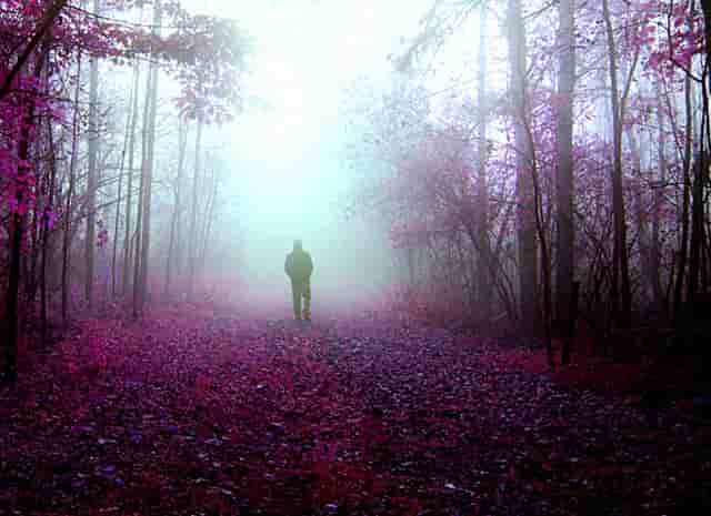 他从零经验开始创建了一个定制模板网站，如今月入超27万