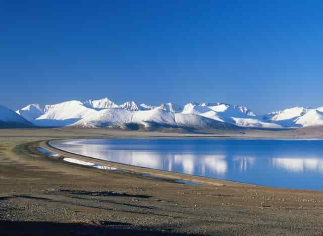 袖虎病猫攻略：猫不出门也会感染猫瘟吗？是！