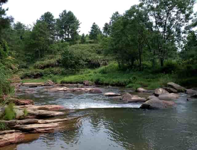 丰田考斯特19座客车操作系统