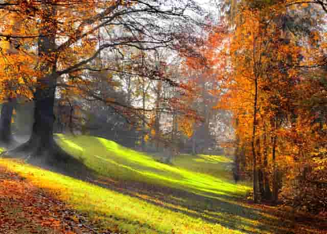 销售面积与销售量(销售单价与销售量关系)