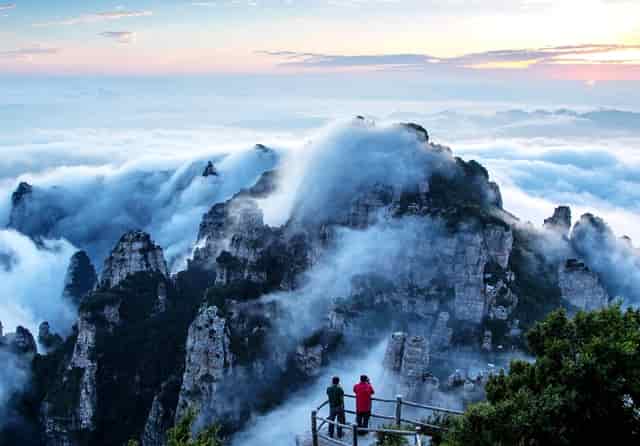 “鄂尔多斯红葱”正逐步走向产业化