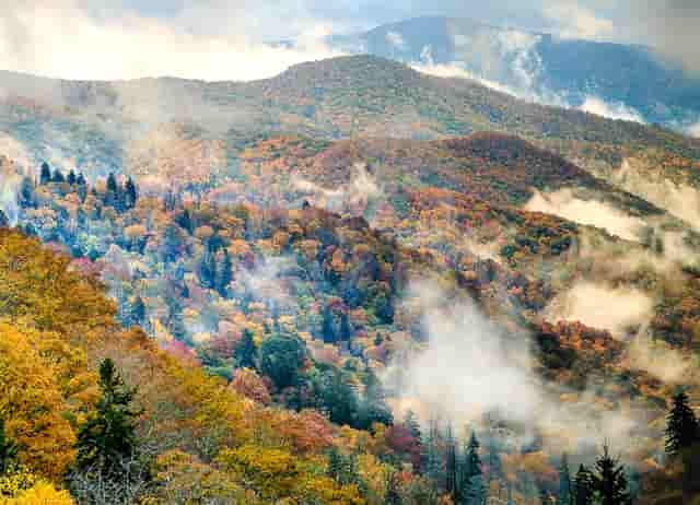 校外培训机构非学科类(北京学科类校外培训机构停课)