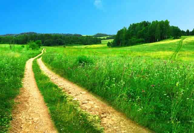 掌心里的按摩师！摩飞迷你款筋膜枪上线啦~