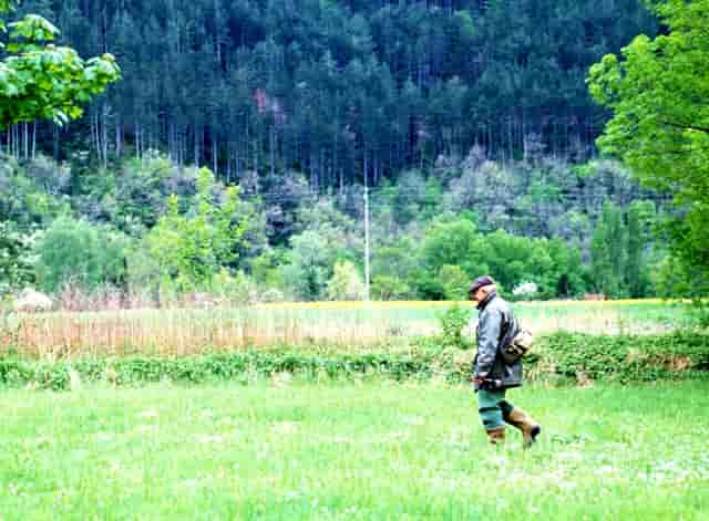 袖虎谈如何为爱猫选购猫爬架？