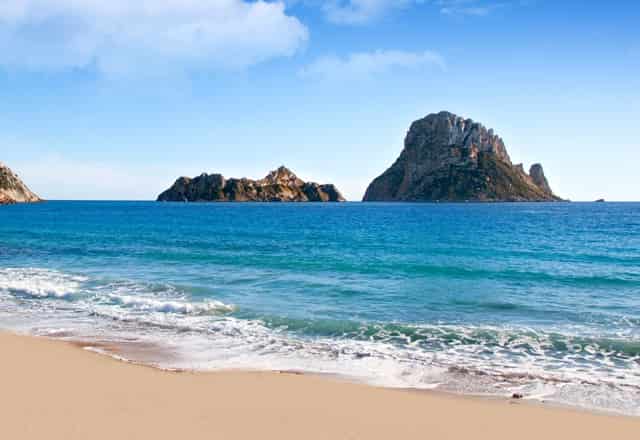 袖虎病猫攻略：感染猫绦虫不要慌，袖虎宠物教你来驱虫