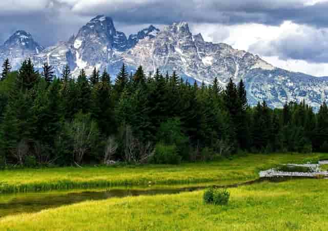 2020年疫情期间 这些女性电影人在做什么？