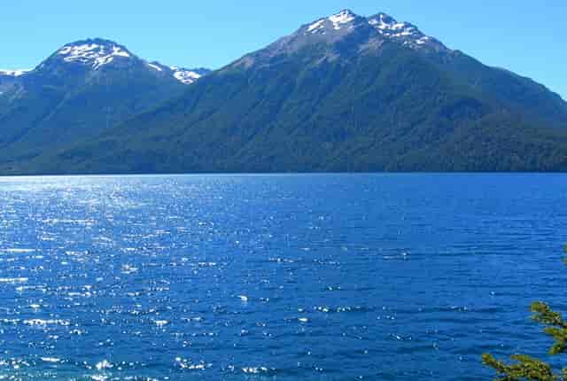 中国在国外的抗疫