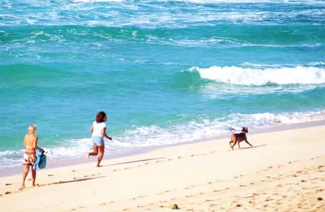 襄樊压铸机回收高效率