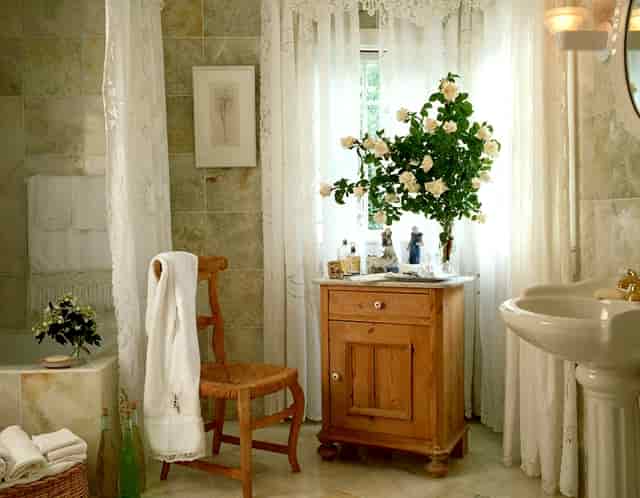 袖虎宠物研究：加盟店能不能赚钱？注意哪些骗局？