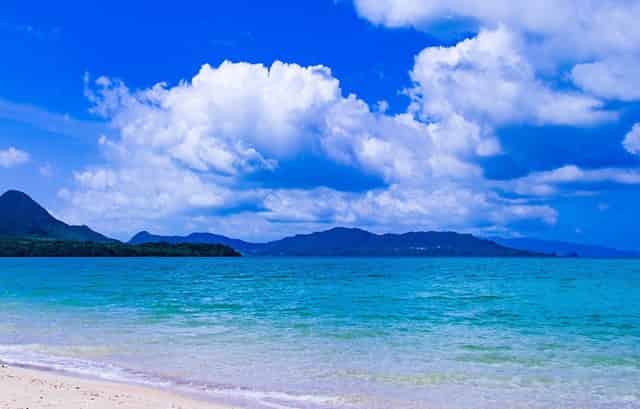 适合上班族考的证书考试时间是什么时候