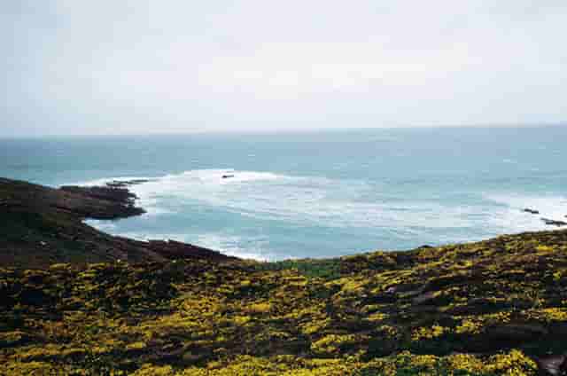 致力健康发展，中国数字经济天地宽