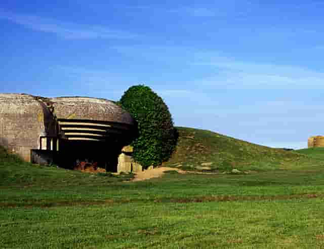 时尚风摄影技巧(油画风摄影技巧)