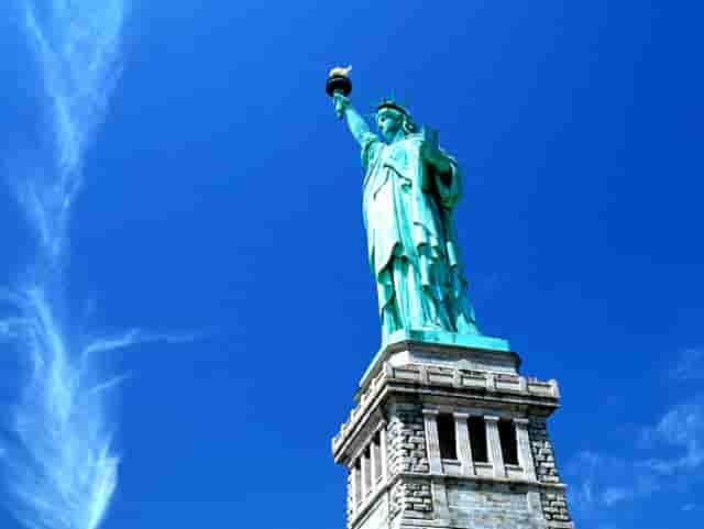 袖虎宠物创业攻略：如何躲过加盟骗局？