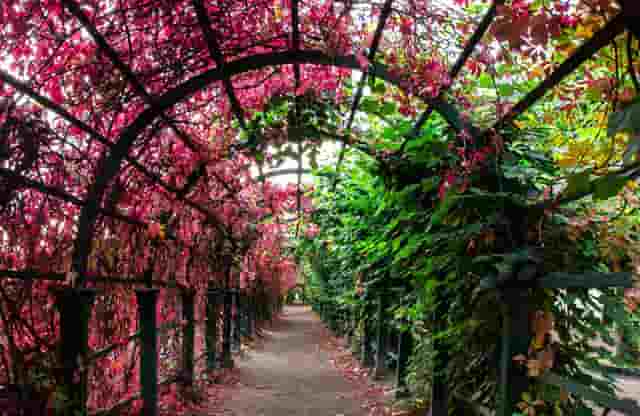 奥运会中国跳水队赛程(菲律宾跳水队为什么能参加奥运会)