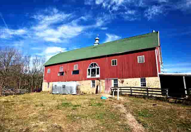 什么样的女人比男人可靠(属兔男人喜欢什么样的女人)