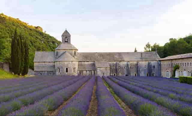 动感时尚摄影技巧(动感慢门花卉摄影技巧)