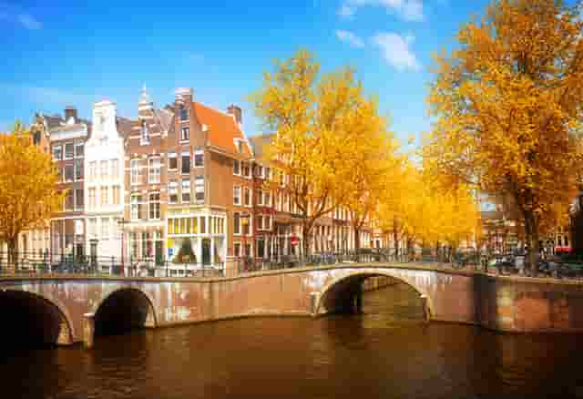 湖北高速水泥伸缩缝路面破损空洞结构修补料