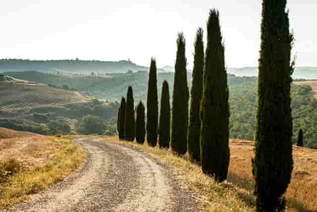 斜顶防水怎么处理斜顶防水最绝的办法都有哪些？