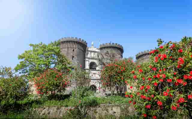 担心加盟宠物店无利可图？袖虎宠物告诉你行业真相!