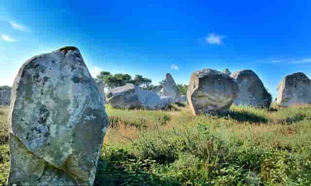 全国见义勇为奖高考加分吗,高考见义勇为加分分将会值降低上门家教程老师13342907352