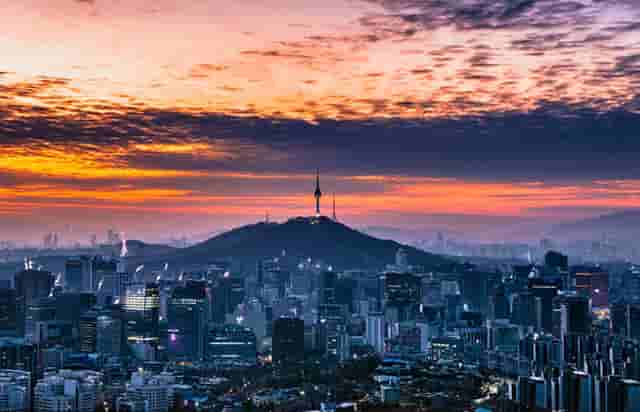 袖虎病猫攻略：猫咪多囊肾是什么