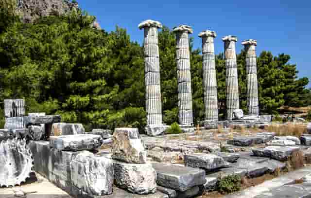 北京在线网校系统哪家好，搭建网校哪家好