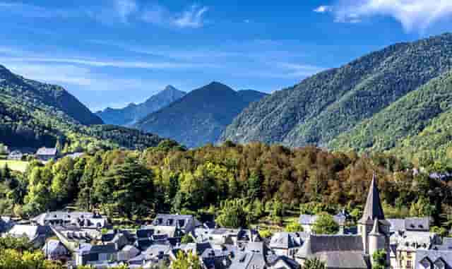 袖虎病狗攻略：金毛关节炎，必须小心