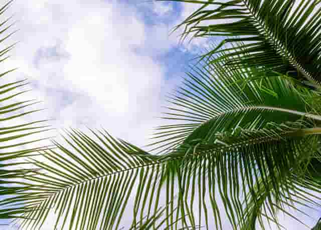 时尚穿搭技巧冬季搭配(鞠婧祎冬季时尚穿搭)