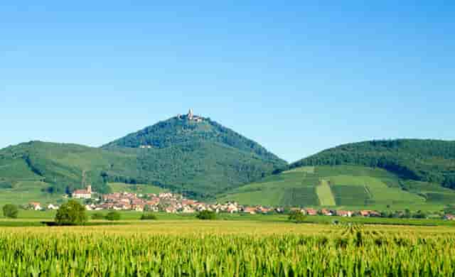 冬季时尚童装搭配技巧(童装穿衣搭配技巧)