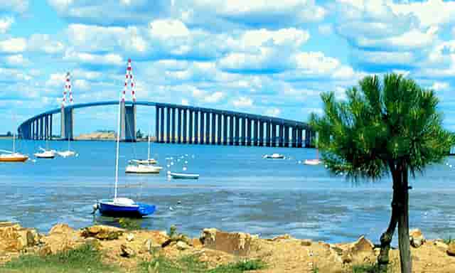 防水行业为什么进入“下行通道”？顺势而为才有“钱”途！