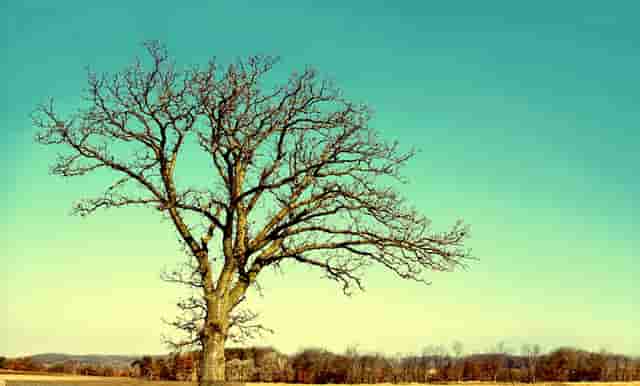 佰草动力新零售系统开发，佰草动力面膜系统开发