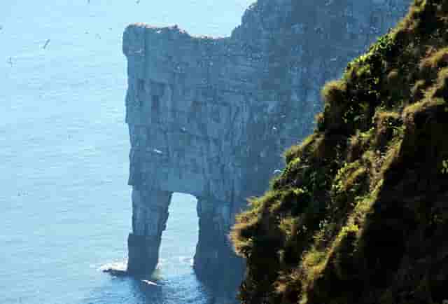 掌握高考语文写作的这五条技巧，你就能做到先人一步了
