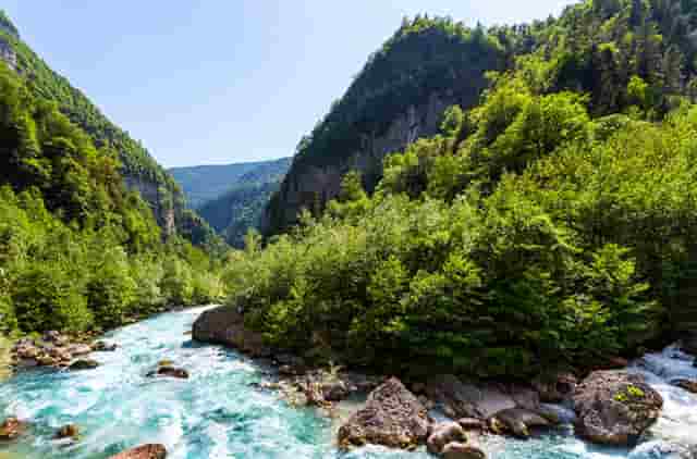 致力健康发展，中国数字经济天地宽