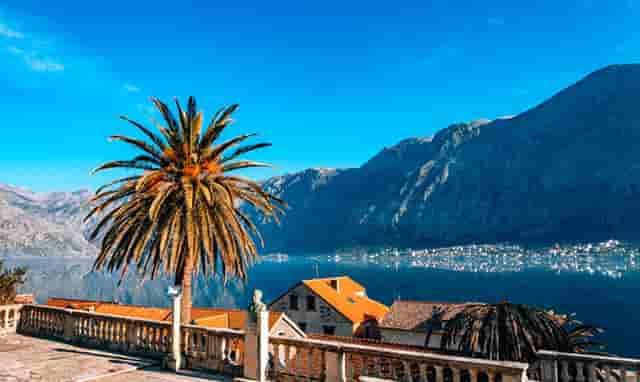 男士秋冬时尚搭配技巧(男士穿貂时尚搭配图片)