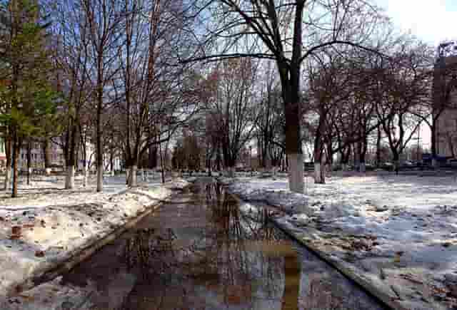 阳朔啤酒鱼店子(阳朔啤酒鱼是什么鱼做的)