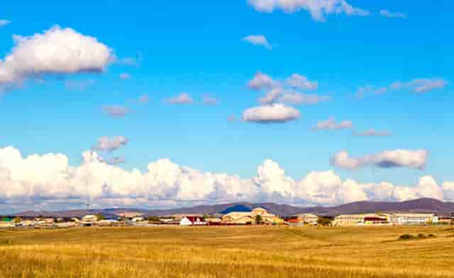 袖虎宠物传授品牌宠物店如何解决臭味问题！