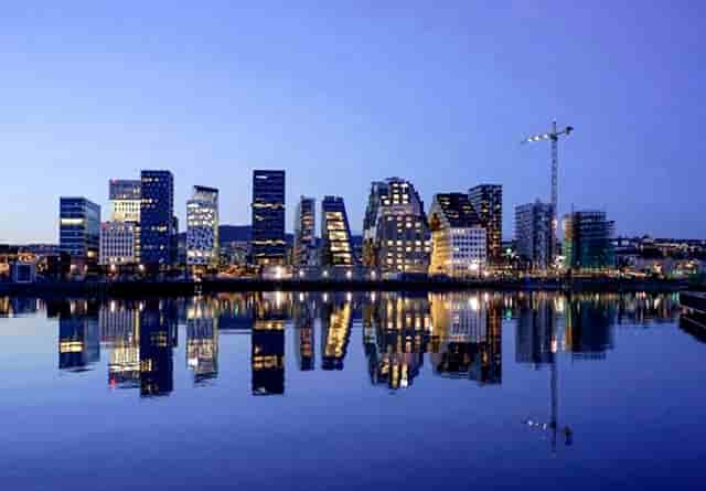 袖虎病猫攻略：猫咪肥胖知多少