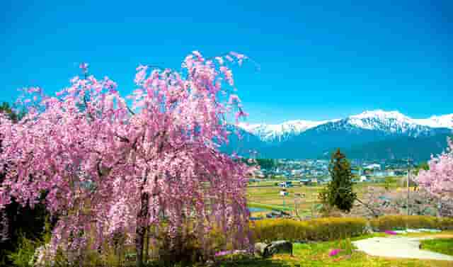 售后软件有哪些功能，能为设备制造类企业提供怎样的价值？